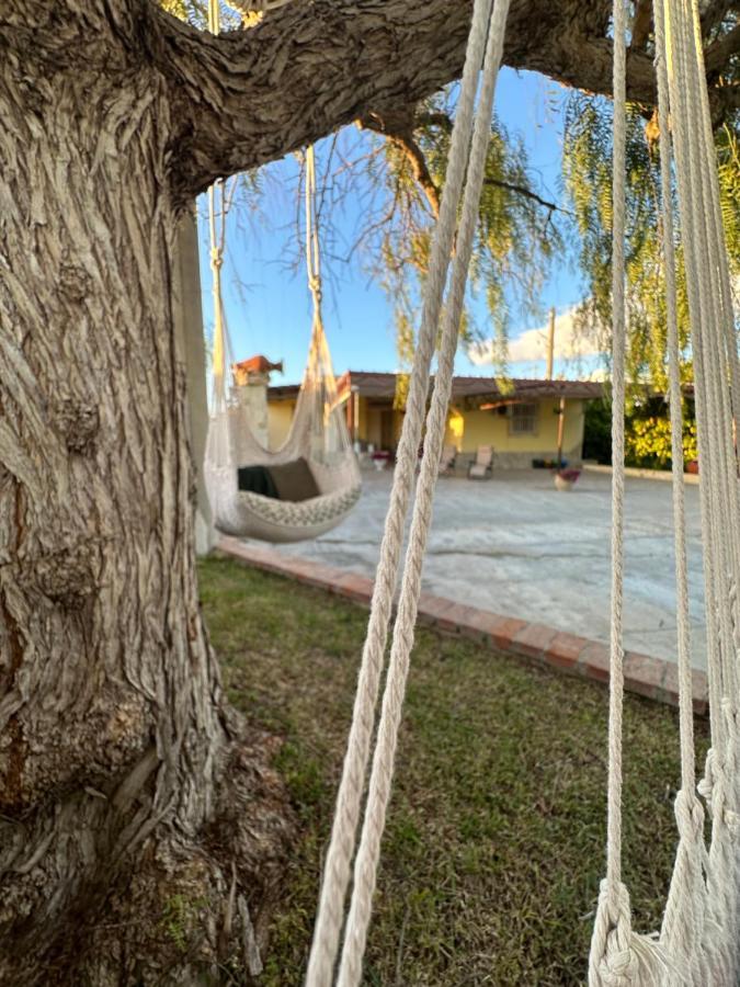 Villa Primofiore Di Vendicari La Banca Eksteriør bilde